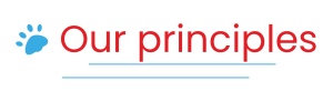 our principles